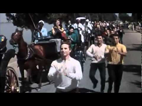 الأقصر بلد سواح تطلق فعاليات رائعة لجذب الزوار