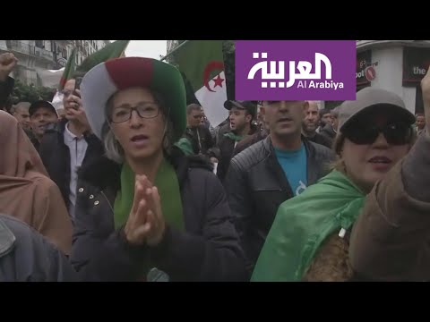شاهد البرلمان الأوروبي يتدخل ويثير سخط الشعب الجزائري