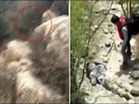 سائح ينجو من الموت بأعجوبة بعد سقوطه من فوق سور الصين العظيم
